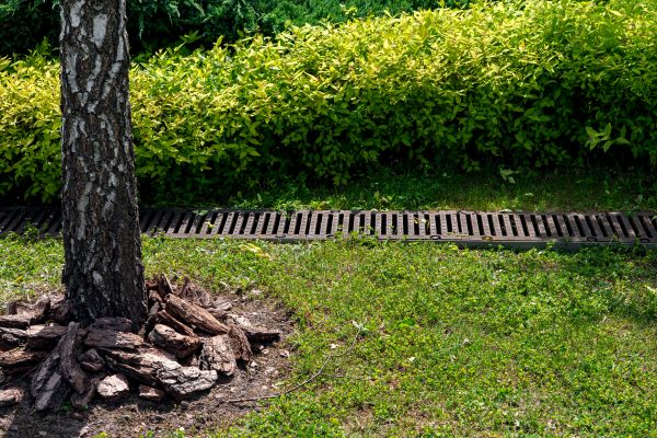 Cost of Wet Yard Drainage in Muncie