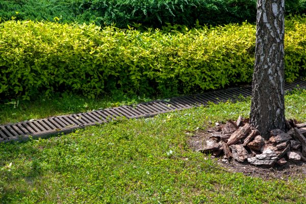 Cost of Residential Landscape Drainage in Muncie